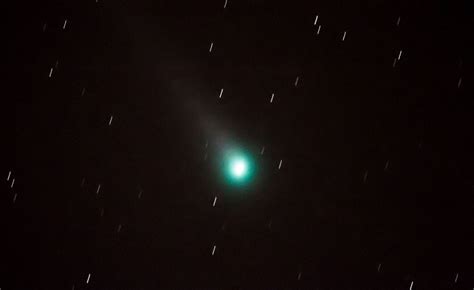 Comet Lovejoy Nature Photography