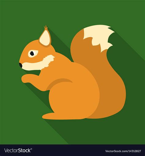Squirrel Icon In Flat Style For Web Royalty Free Vector