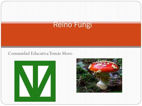 Ppt Reino Fungi Powerpoint Presentation Free Download Id5366893