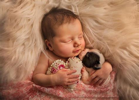 Tiernas Fotos De Recién Nacidos Acurrucados Con Animales Bebés