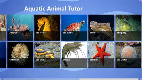 Aquatic Animal Tutor For Windows 8 And 81