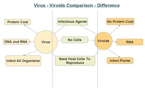 Difference Between Virus And Viroids Neetlab
