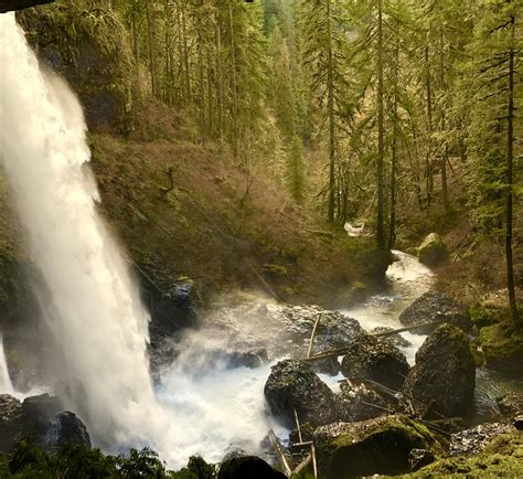 Waterfall In Oregon Woods Rpics