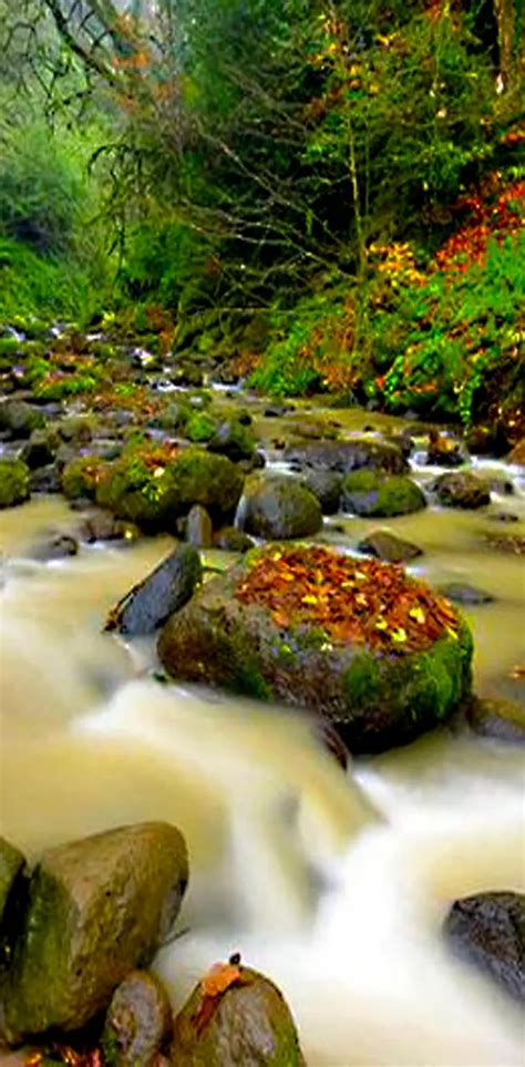 Beautiful Nature Wallpaper By Dashti33 Download On Zedge™ 5c11