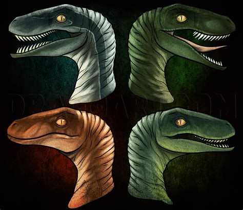 How To Draw The Raptor Squad From Jurassic World Step By Step Drawing