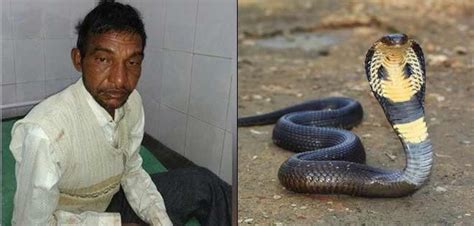 This Man Chewed Off The Head Of A Snake That Apparently Bit Him All
