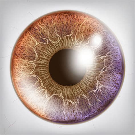 Best Iris Eye Illustrations Royalty Free Vector Graphics And Clip Art