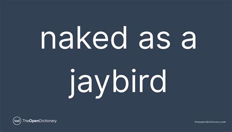 Naked As A Jaybird Meaning Of Naked As A Jaybird Definition Of Naked As A Jaybird Example