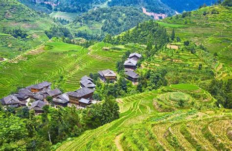 Guilin Private Tour Of Dragons Backbone Rice Terraces Getyourguide