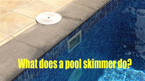 How Does A Skimmer Box Work Get An Idea Of What Is A Pool Skimmer Box