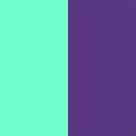 Color And Color — Color And Color 12577 71fece And 5b3881 Purple