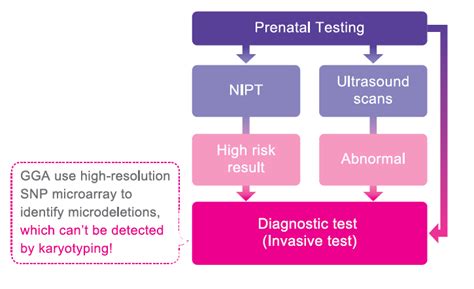 Nipt Non Invasive Prenatal Testing Gga Malaysia