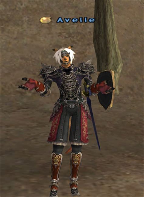 If you've been a 75 pld long enough to talk an endgame ls into getting you aegis, obviously, you know that you're supposed to wear that instead of a kaiser shield. Post pictures of your gear IV: Oh hey, you're a Paladin too?