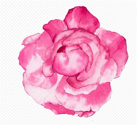 Download Hd Pink Peony Watercolor Flower Png Citypng