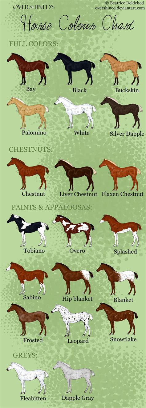 Horse Colour Chart Horse Color Chart Horse Breeds Horse Coloring