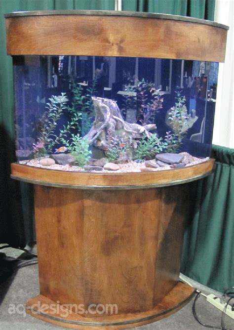 54 Gallon Corner Aquarium With A Custom Built Stand Our First Attempt