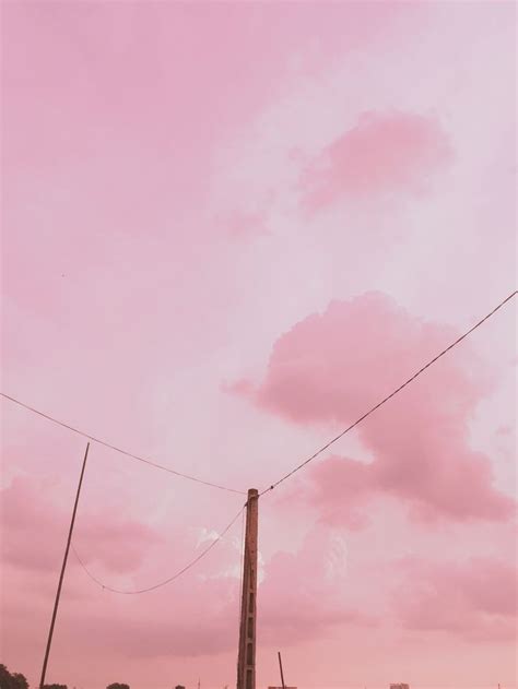 Pin By Violet~ On Wallpaper ꜜ↯⭏ In 2020 Pink Aesthetic Pastel Pink