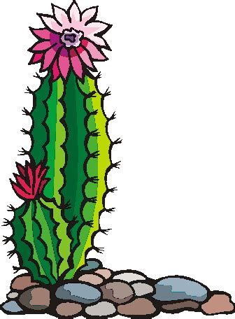 Outline cactus digital clip art for scrapbooking card making | etsy. Gallery for black and white cactus clipart 3 image - Clipartix