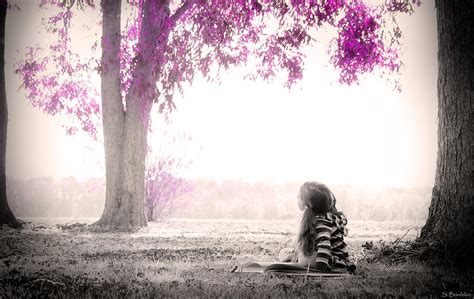 Sweet Imagination Photograph By Southern Tradition Fine Art America