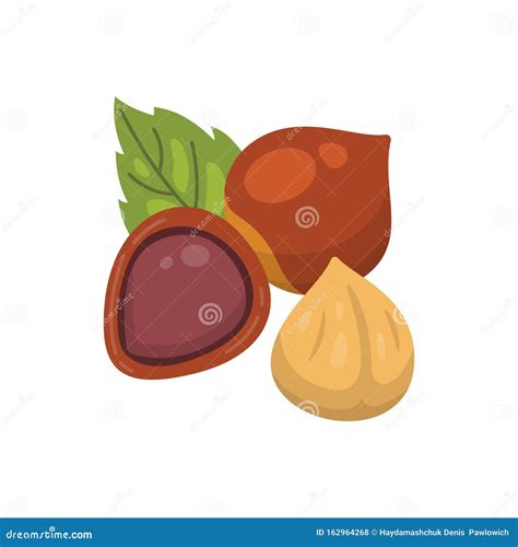 Hazelnut Vector Icon Nuts In Cartoon Style Hazel Nut Food Collection
