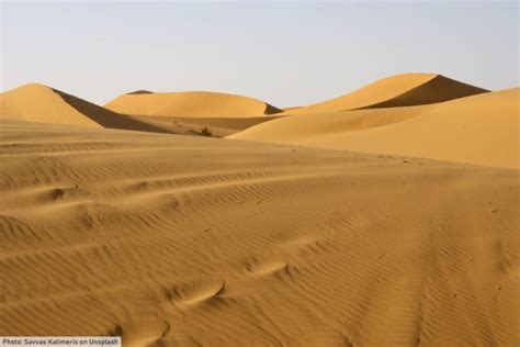 The Desert Biome Facts Characteristics Types Of Desert Life In Deserts