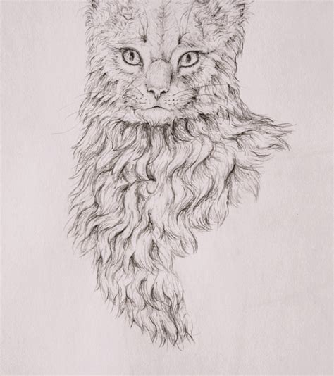 30 Easy And Practicable Tail And Fur Sketches