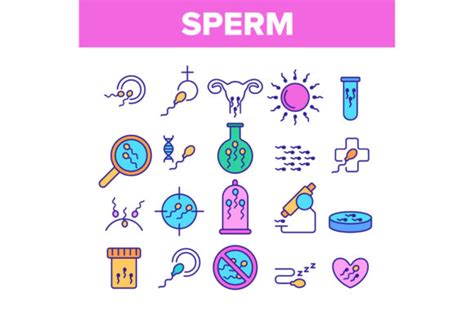 Sperm Cells Vector Color Line Icons Set Graphic By Stockvectorwin · Creative Fabrica