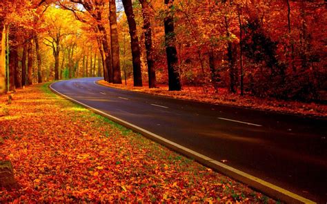 Discover Autumn Road Wallpaper Hd Noithatsi Vn