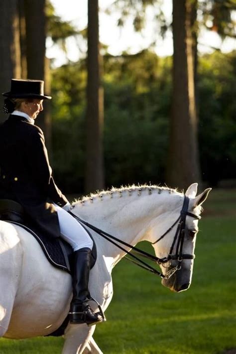 Ann Romney Horses Horses Dressage Horses Equestrian