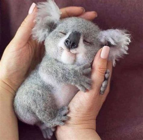 Koala Puppy Veg Up La Cosmesi Vegan Made In Italy