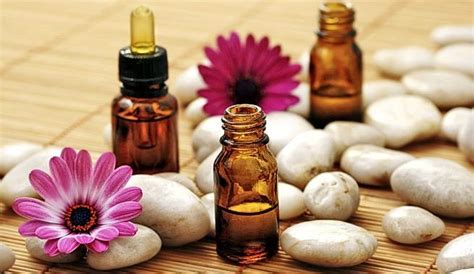 Aceites Esenciales Muy Apreciados En Aromaterapia Somos Bellas