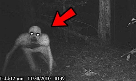 Smile, you're on ghost camera! REAL GHOSTS Caught on Camera? 8 Scary Videos!