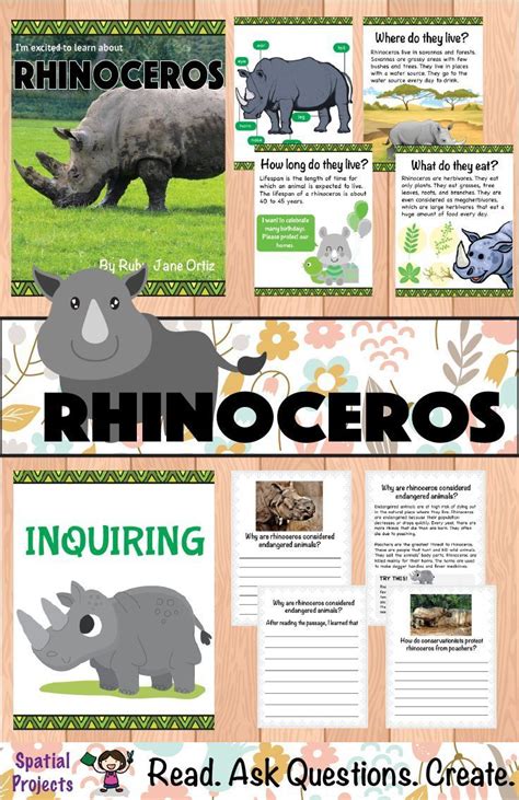 Check Out This All About Rhinoceros Nonfiction Unit For Your 1st 2nd