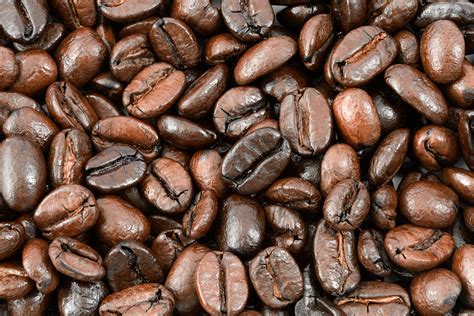 File Roasted Coffee Beans Texture  Wikimedia Commons