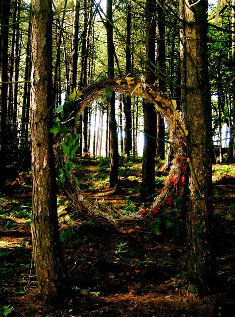 Portal Through The Woods By ~asphodel Foxx If You Dare Hop Through