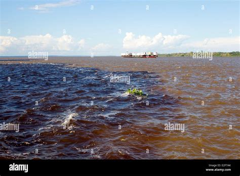 Brazil Amazonas State Amazon River Phenomenon Of The Meeting Of Waters