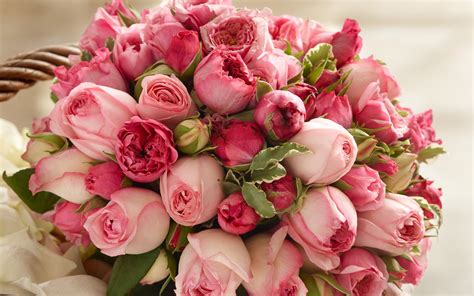 Download Wallpaper 2560x1600 Pink Rose Flowers Beautiful Bouquet Hd