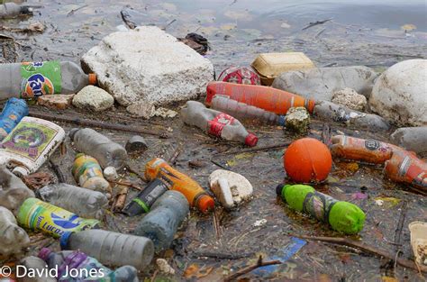 Plastic Pollution Just One Ocean