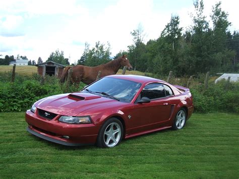 1999 Ford Mustang Gt News Reviews Msrp Ratings With Amazing Images