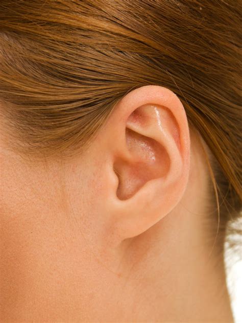 Red Bump Behind Ear Doctor Insights On Healthtap