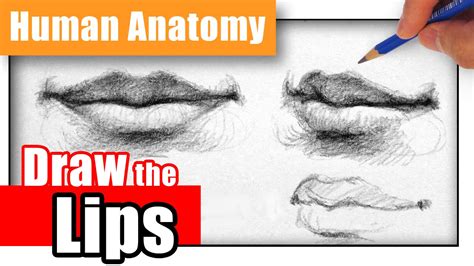 Song prompt lips of an angel by hinder. How to Draw the Lips the Easy Way - Different Angles - YouTube