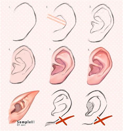 How To Draw Ears By Kawanocydisclaimer I Dont Own Any Of The Art