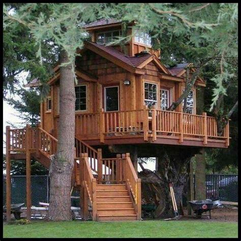 Awesome Tree House For The Home Beautiful Tree Houses Cool Tree