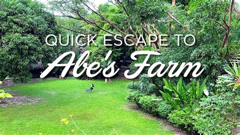 quick escape to abe s farm in pampanga youtube