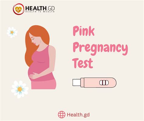 How To Check Pregnancy Using Pink Pregnancy Test Healthgd