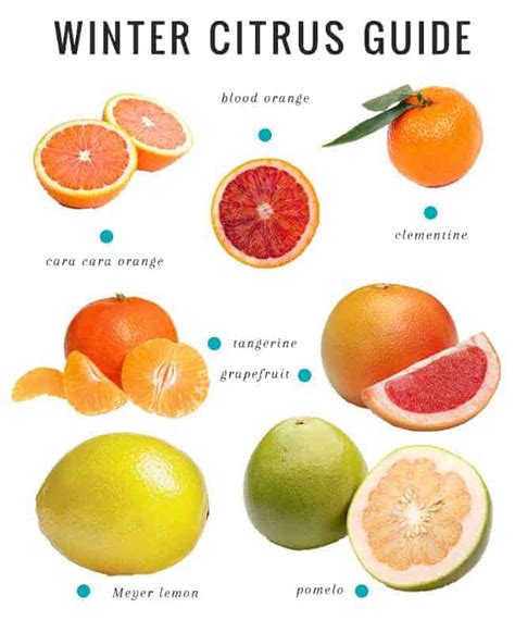 Citrus Cranberry Smoothie Guide To Winter Citrus