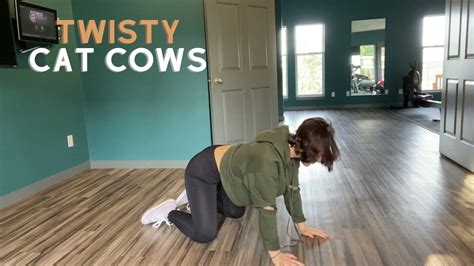 Twisty Cat Cows Youtube