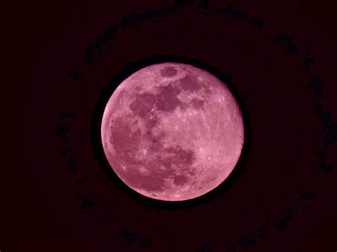 Superluna Rosa De Abril 2020 Cómo Y Cuándo Verla En México Rsvponline