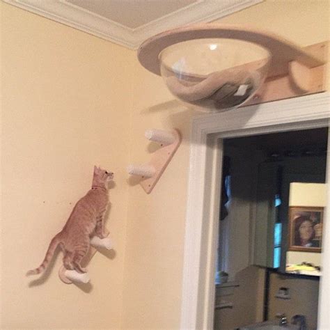 Ceiling Complex For Cats Cat Room Cat Wall Furniture Diy Cat Tree