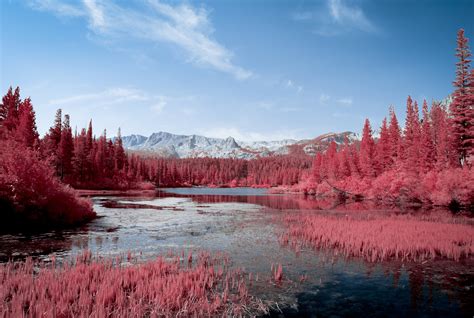 Download and use 30,000+ 4k wallpaper stock photos for free. Autumn Red Pink Trees Lake 5k, HD Nature, 4k Wallpapers ...